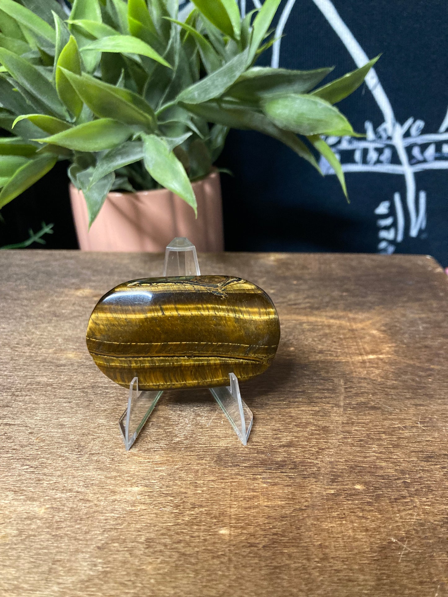 Tigers Eye Palm Stone