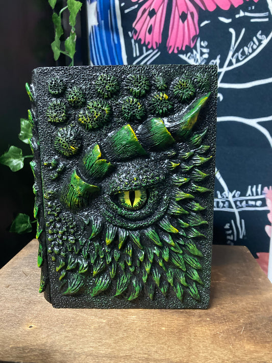 Dragons Eye Journal/ Grimoire