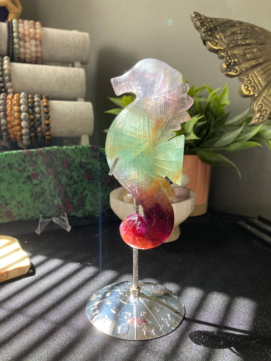 Fluorite Seahorse on stand